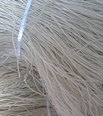 產(chǎn)品中心